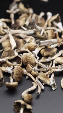 Enteojenlerin dikey videosu - psilosibin mantarları Altın Öğretmen