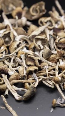 Enteojenlerin dikey videosu - psilosibin mantarları Altın Öğretmen