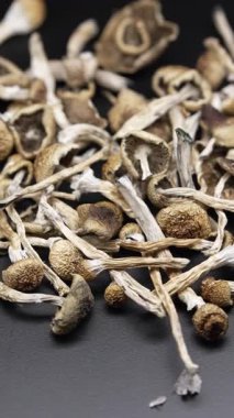 Enteojenlerin dikey videosu - psilosibin mantarları Altın Öğretmen