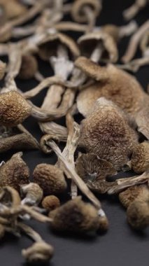 Enteojenlerin dikey videosu - psilosibin mantarları Altın Öğretmen