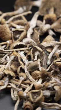 Enteojenlerin dikey videosu - psilosibin mantarları Altın Öğretmen