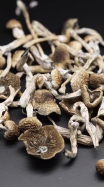 Enteojenlerin dikey videosu - psilosibin mantarları Altın Öğretmen