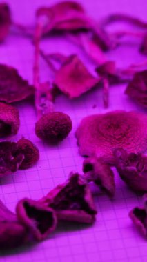 Enteojenlerin dikey videosu - psilosibin mantarları Altın Öğretmen