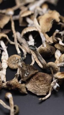 Enteojenlerin dikey videosu - psilosibin mantarları Altın Öğretmen