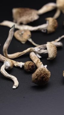 Enteojenlerin dikey videosu - psilosibin mantarları Altın Öğretmen