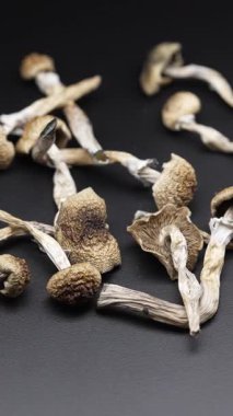 Kurutulmuş sihirli mantarların dikey videosu Altın Öğretmen