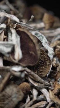 Kurutulmuş sihirli mantarların dikey videosu Altın Öğretmen