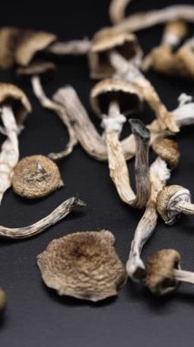 Kurutulmuş sihirli mantarların dikey videosu Altın Öğretmen