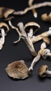 Kurutulmuş sihirli mantarların dikey videosu Altın Öğretmen