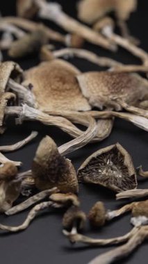 Kurutulmuş sihirli mantarların dikey videosu Altın Öğretmen