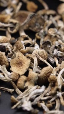 Kurutulmuş sihirli mantarların dikey videosu Altın Öğretmen