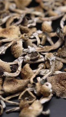 Kurutulmuş sihirli mantarların dikey videosu Altın Öğretmen