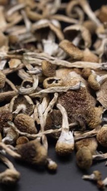 Kurutulmuş sihirli mantarların dikey videosu Altın Öğretmen