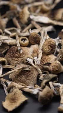 Kurutulmuş sihirli mantarların dikey videosu Altın Öğretmen