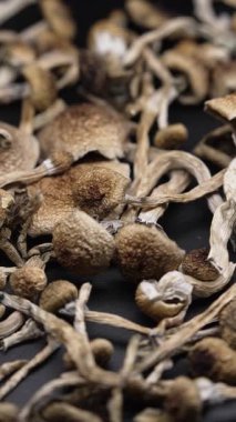 Kurutulmuş sihirli mantarların dikey videosu Altın Öğretmen