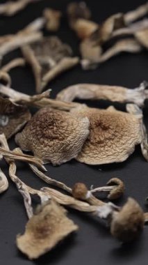 Kurutulmuş sihirli mantarların dikey videosu Altın Öğretmen