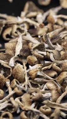 Kurutulmuş sihirli mantarların dikey videosu Altın Öğretmen