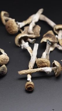 Kurutulmuş sihirli mantarların dikey videosu Altın Öğretmen