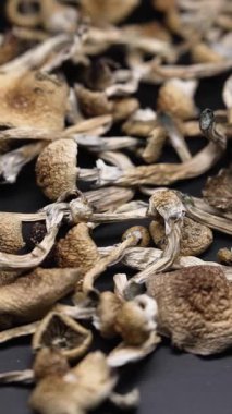 Kurutulmuş sihirli mantarların dikey videosu Altın Öğretmen