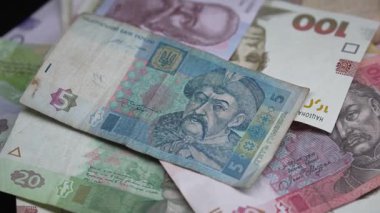 Ukrayna 'nın ulusal para birimi - Hryvnia, yakın plan