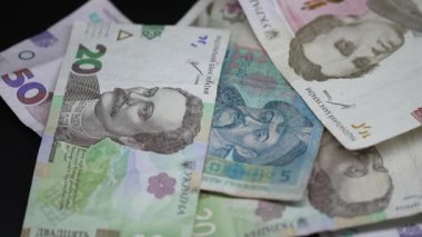 Ukrayna 'nın ulusal para birimi - Hryvnia, yakın plan