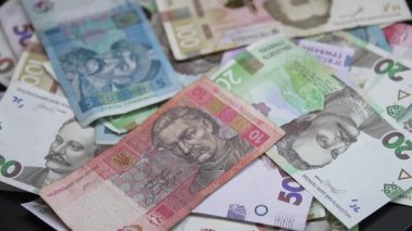 Ukrayna 'nın ulusal para birimi - Hryvnia, yakın plan