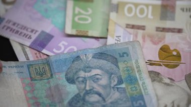 Ukrayna 'nın ulusal para birimi - Hryvnia, yakın plan