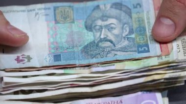 Ukrayna 'nın ulusal para birimi - Hryvnia, yakın plan