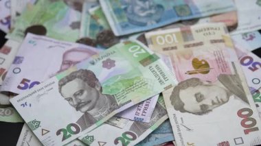 Ukrayna 'nın ulusal para birimi - Hryvnia, yakın plan