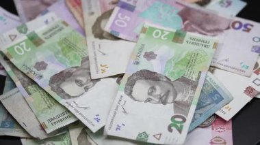 Hryvnia - Ukrayna 'nın ulusal para birimi, yakın plan.