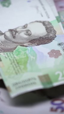 Ukrayna para birimi Hryvnia 'nın dikey videosu