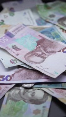 Ukrayna para birimi Hryvnia 'nın dikey videosu