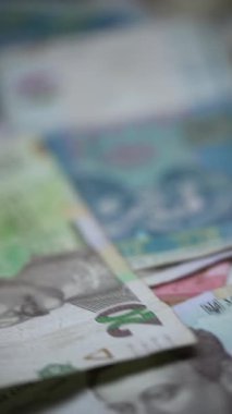 Ukrayna para birimi Hryvnia 'nın dikey videosu