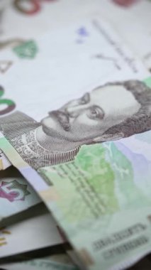 Ukrayna para birimi Hryvnia 'nın dikey videosu