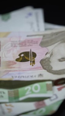 Ukrayna para birimi Hryvnia 'nın dikey videosu