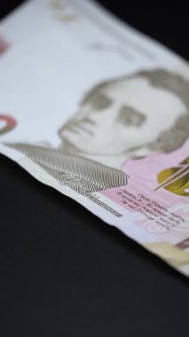 Ukrayna para birimi Hryvnia 'nın dikey videosu