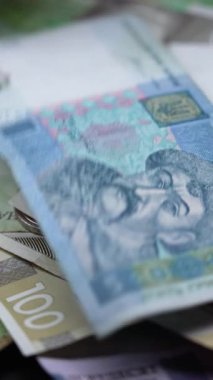 Ukrayna para birimi Hryvnia 'nın dikey videosu