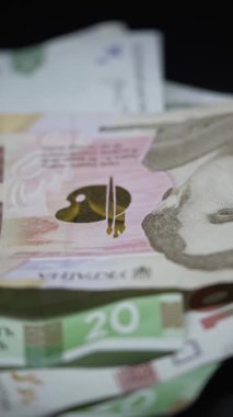 Ukrayna para birimi Hryvnia 'nın dikey videosu