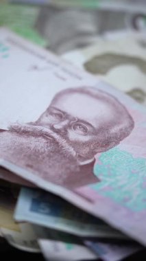 Ukrayna para birimi Hryvnia 'nın dikey videosu