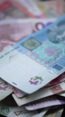 Ukrayna para birimi Hryvnia 'nın dikey videosu