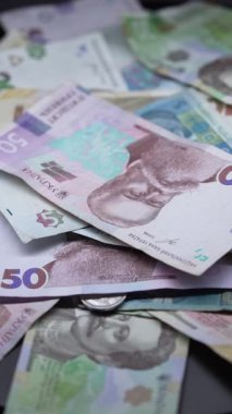 Ukrayna para birimi Hryvnia 'nın dikey videosu