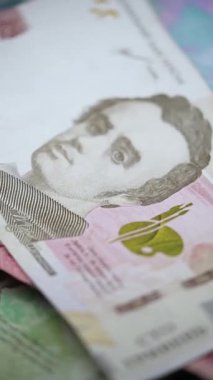 Ukrayna para birimi Hryvnia 'nın dikey videosu