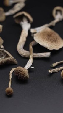 Ukrayna para birimi Hryvnia 'nın dikey videosu