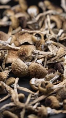 Ukrayna para birimi Hryvnia 'nın dikey videosu