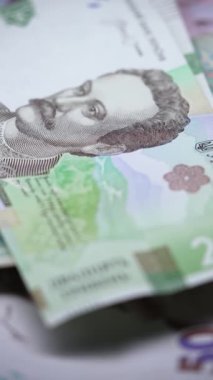 Ukrayna para birimi Hryvnia 'nın dikey videosu
