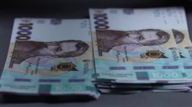 Ukrayna 'nın ulusal para birimi - bin Hryvnia