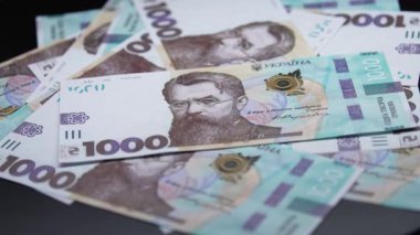 Ukrayna 'nın ulusal para birimi - bin Hryvnia