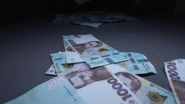 Ukrayna parası - 1000 Hryvnia, yakın plan