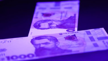 Bin hryvnia - Ukrayna para biriminin banknotları