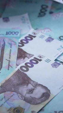 Ukrayna 'nın ulusal para birimi - 1000 Hryvnia, dikey video